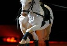 Karst Region Day Tour 